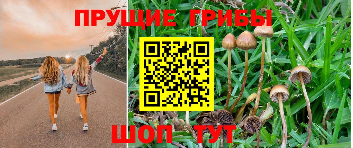 Галлюциногенные грибы ЛСД Кемерово