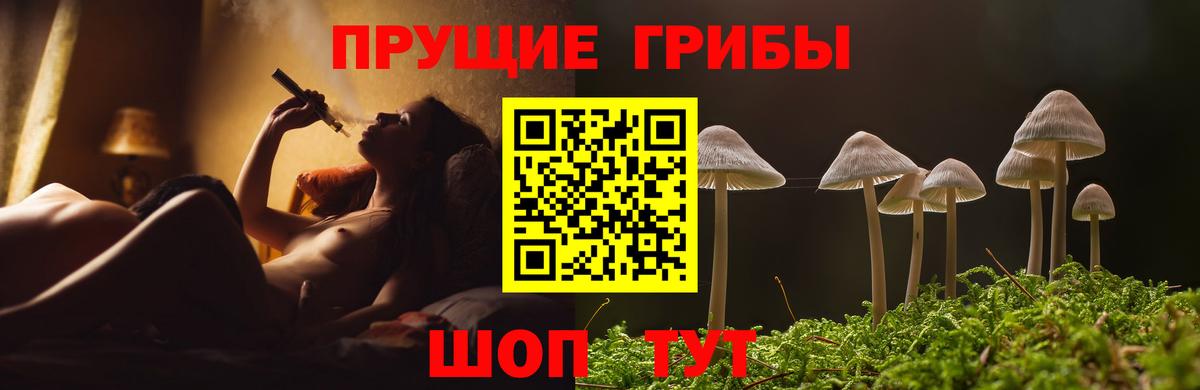 Кемерово  Псилоцибиновые грибы Cubensis  Вход с VPN  что такое наркотик  Галлюциногенные грибы GOLDEN TEACHER 