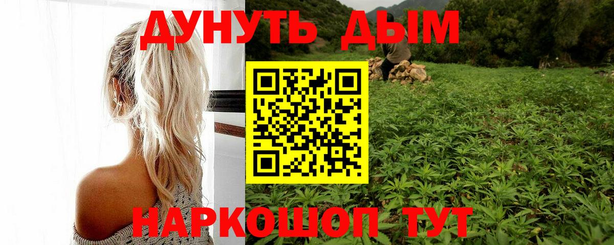 Кемерово  Бошки Шишки AK-47  Бошки Шишки семена  Вход с VPN 